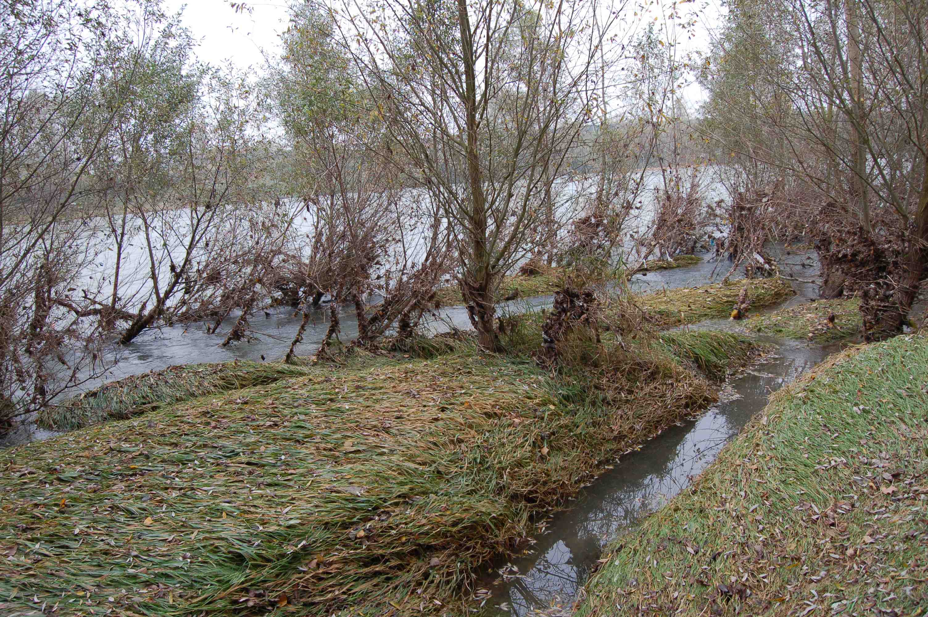 Fiume_2