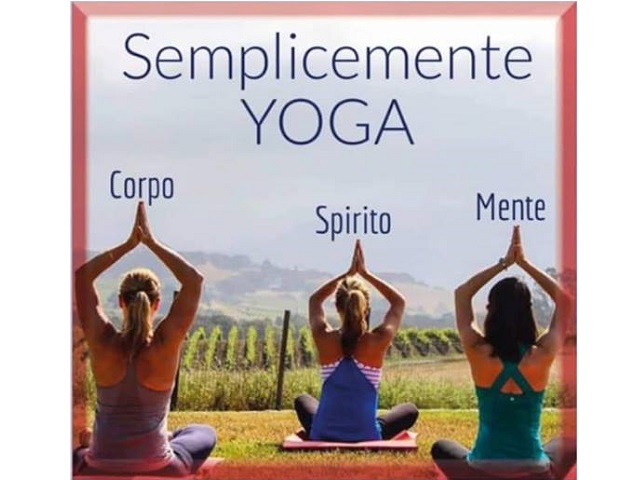Hatha_Vinysa_Yoga_-_Copia