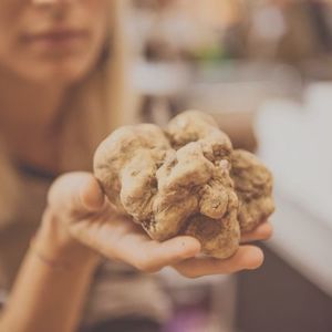 Avviso presentazione domande per indennità Tartufigena