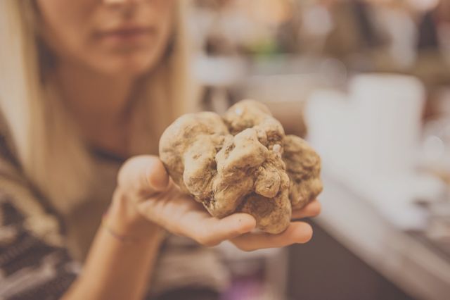 Fiera Nazionale del Tartufo Bianco 2023